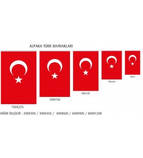 Türk Bayrakları Türk Bayrakları